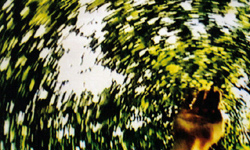 <i>BODYSIGHT</i> (2001) screenshot (detail) <i>BODYSIGHT</i> (2001) screenshot (detail)