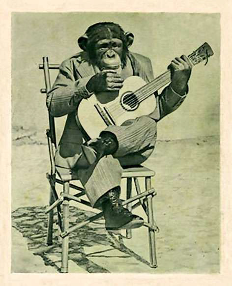 Image courtesy of Cristina Guerra Contemporary Art, Lisbon Image courtesy of Cristina Guerra Contemporary Art, Lisbon