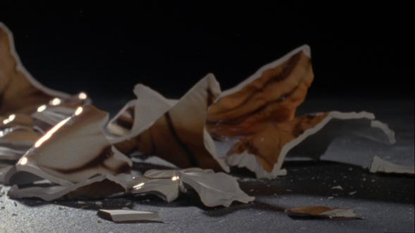 Beatrice Gibson, The Tiger's Mind, 2012 Beatrice Gibson, The Tiger's Mind, 2012