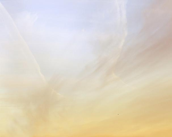 TREVOR PAGLEN, Untitled (Reaper Drone), 2010 TREVOR PAGLEN, Untitled (Reaper Drone), 2010