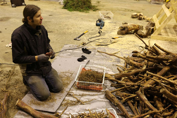 Antti Laitinen, Still from the video Forest Deconstruction 2013 Antti Laitinen, Still from the video Forest Deconstruction 2013