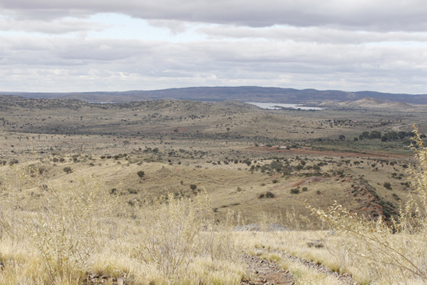 Photo: Cathy Hattersley Photo: Cathy Hattersley