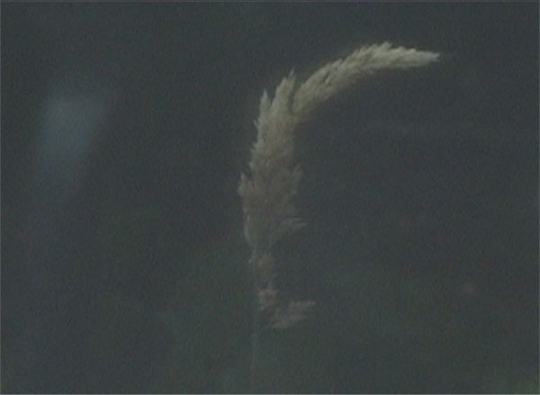 Seamus Harahan, Torch (Extended), 2013 Seamus Harahan, Torch (Extended), 2013