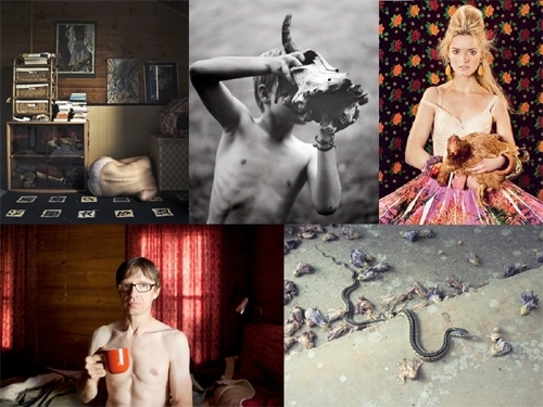 Image Credits Top: Samuel Moulin | Heather Bowes | Isabel Pinto; Bottom: Leon Alesi | Donna Rosser Image Credits Top: Samuel Moulin | Heather Bowes | Isabel Pinto; Bottom: Leon Alesi | Donna Rosser