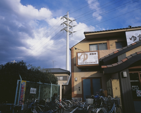 Yutaka Takanashi, AQUA TREE, 2010 / 2013 Yutaka Takanashi, AQUA TREE, 2010 / 2013