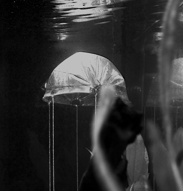 Anna Romanenko, Björn Kühn & Gabriel Hensche, Liminal Dome Anna Romanenko, Björn Kühn & Gabriel Hensche, Liminal Dome