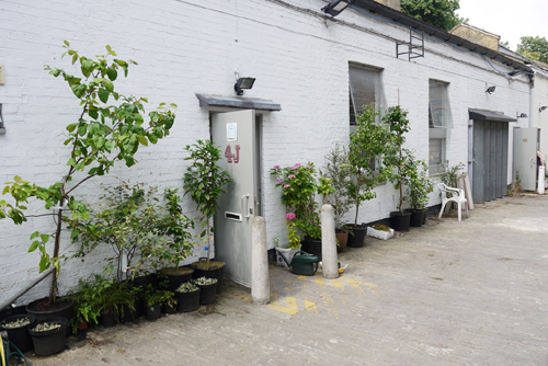 GROUND FLOOR STUDIO FOR RENT IN CAMBERWELL GROUND FLOOR STUDIO FOR RENT IN CAMBERWELL