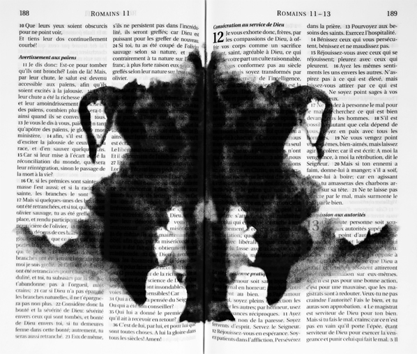 Mounir Fatmi, Divine Illusion, 2013-2014 Mounir Fatmi, Divine Illusion, 2013-2014