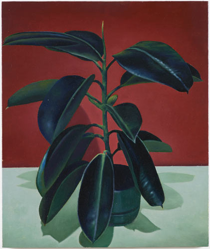 Christopher Hanlon, Rubber Plant, 2014 Christopher Hanlon, Rubber Plant, 2014