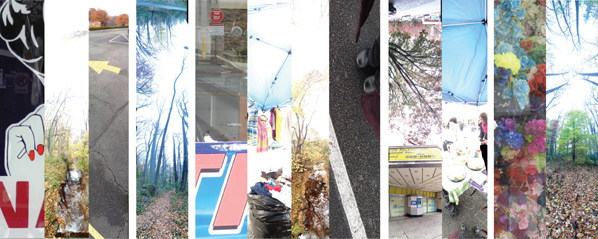 Ronit Eisenbach, Sharon Mansur & Aleksandra Vrebalov, In Situ: Exploring Sites-In-Transition Ronit Eisenbach, Sharon Mansur & Aleksandra Vrebalov, In Situ: Exploring Sites-In-Transition