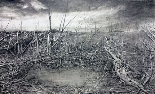 Stacey Cushner, Aftermath 3, 2014, 22 inches x 46 inches, graphite on paper Stacey Cushner, Aftermath 3, 2014, 22 inches x 46 inches, graphite on paper