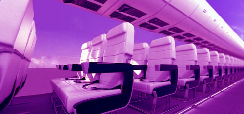 Cell Project Space Internship Cell Project Space Internship