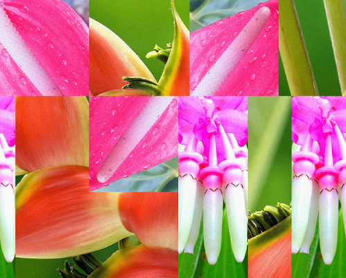 AUTOCENTER SUMMER ACADEMY - BERLIN AUTOCENTER SUMMER ACADEMY - BERLIN