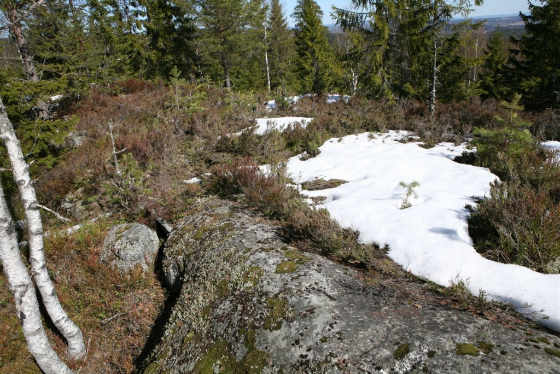 Lara Almarcegui, Mineral Rights, Tveitvangen iron deposit, Norway, 2015 Lara Almarcegui, Mineral Rights, Tveitvangen iron deposit, Norway, 2015