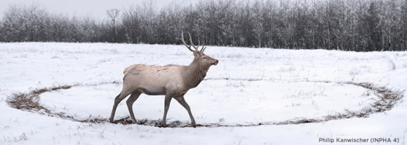 Image: Philip Kanwischer (INPHA 4) Image: Philip Kanwischer (INPHA 4)
