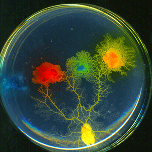 Art Laboratory Berlin Art Laboratory Berlin