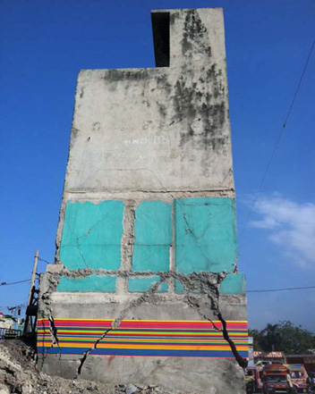 Fungus_collective_004 Fungus_collective_004