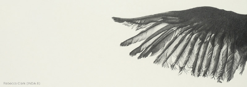 FLIGHT An Exhibit of Works Exploring Velocity and Flight seen by search engines FLIGHT An Exhibit of Works Exploring Velocity and Flight seen by search engines