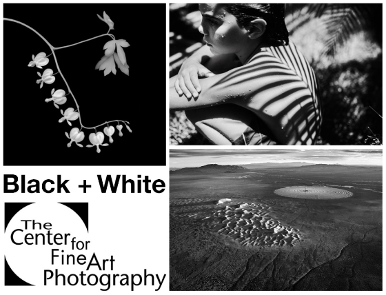 Image Credits: Vicki Reed, Antonio Ysursa, Jamey Stillings Image Credits: Vicki Reed, Antonio Ysursa, Jamey Stillings