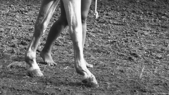 Adrian Paci, Inside the Circle, 2012, still dal video, 6' 33'' Adrian Paci, Inside the Circle, 2012, still dal video, 6' 33''