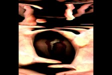 Vertical Love Chronologies Vertical Love Chronologies