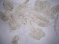 Absence/ Presence ©Ula Einstein Absence/ Presence ©Ula Einstein