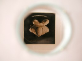 The Flapper The Flapper