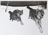 Wolves Running, pencil, 30x40, 2009 Wolves Running, pencil, 30x40, 2009
