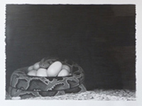 Snake Nest, pencil, 18x24, 2009 Snake Nest, pencil, 18x24, 2009