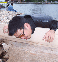 Village Green (detail) Village Green (detail)