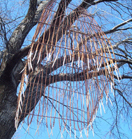 People Trap No. 1 (detail) People Trap No. 1 (detail)