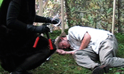 Reintroduction of the Beaver (still) Reintroduction of the Beaver (still)