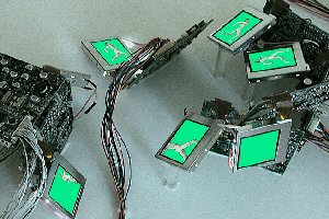 manwalkfast manwalkfast