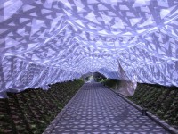 SLEEPING 2004/ Japan SLEEPING 2004/ Japan