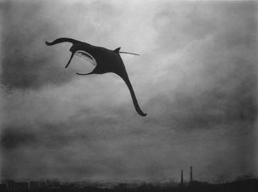 The Ghost of Steve Irwin, 2006 90 x 110 cm The Ghost of Steve Irwin, 2006 90 x 110 cm