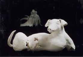 Dog with no Legs 1997 bisque-fired porcelain Dog with no Legs 1997 bisque-fired porcelain