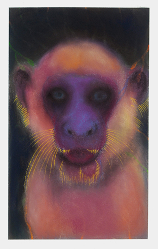 The Corridor Series Primate #31 The Corridor Series Primate #31
