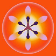 orange tulip, digital print, 2002 orange tulip, digital print, 2002