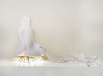 The White House Is Not White 2010 The White House Is Not White 2010